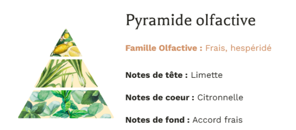 Pyramide Olfactive Bougie Végétale