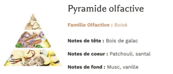 Pyramide Olfactive Bougie Végétale