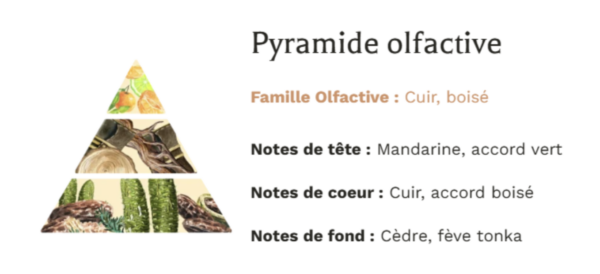 Pyramide Olfactive Bougie Végétale