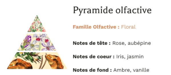 Pyramide Olfactive Bougie Végétale