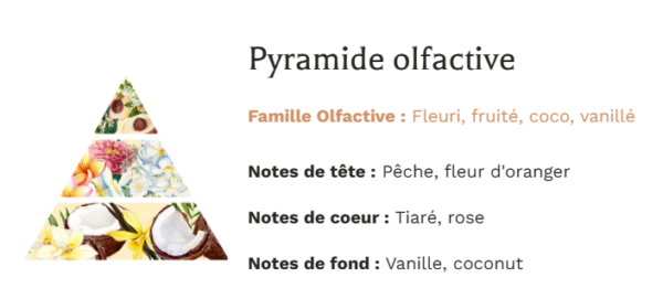 Pyramide Olfactive Bougie Végétale